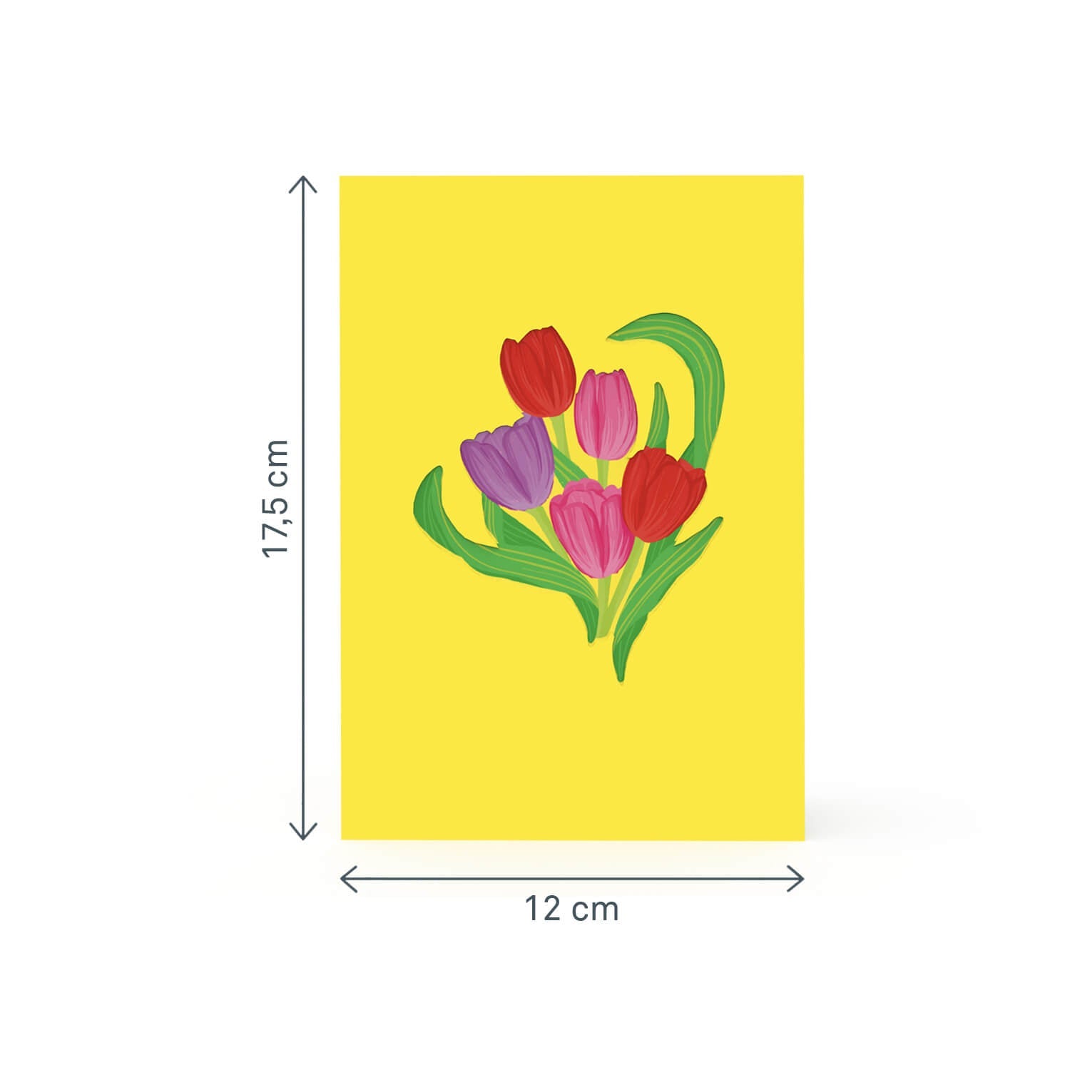 Bunte Tulpenwiese Pop-Up Karte
