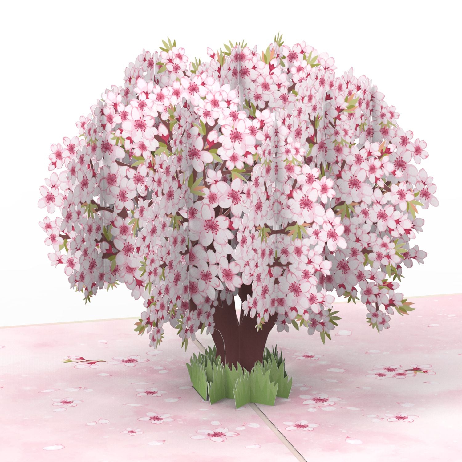 Kirschblütenbaum Pop-Up Karte