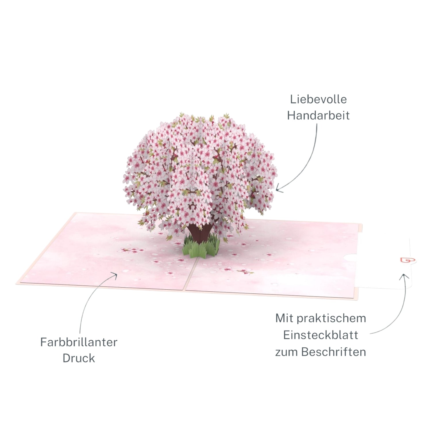 Carte pop-up fleurs de cerisier