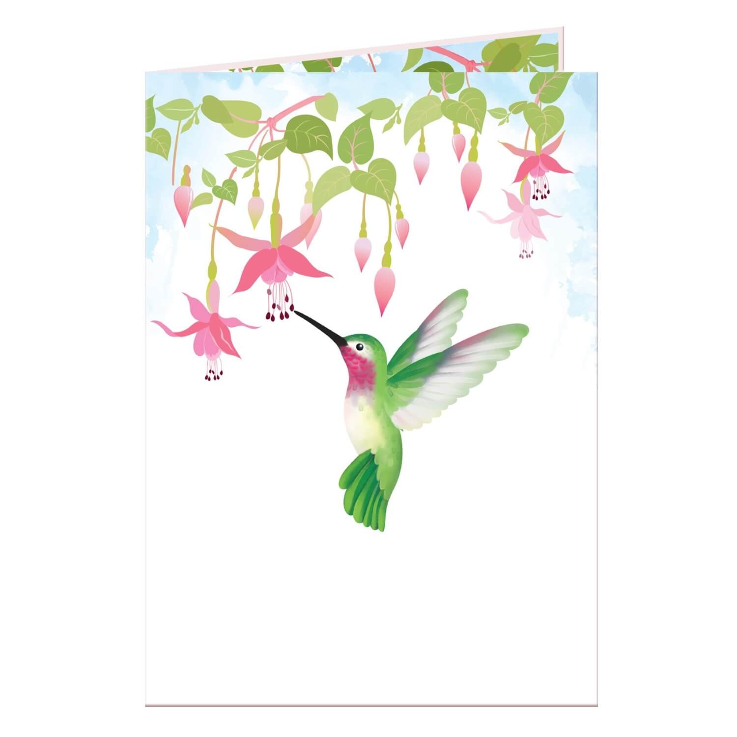 Carte Pop-Up Colibris