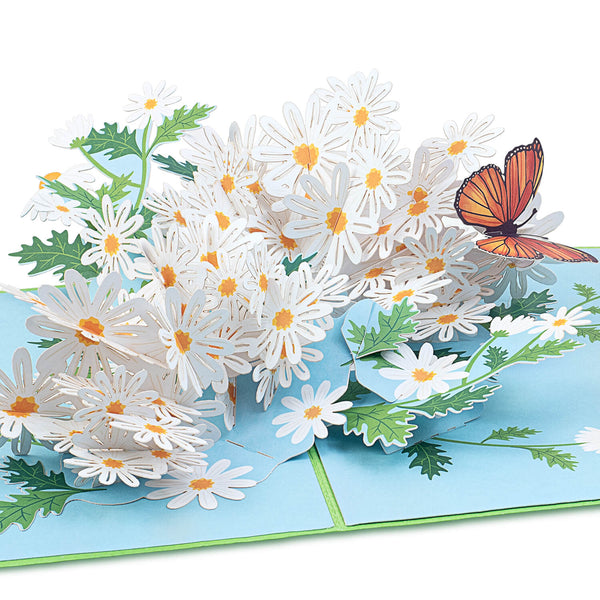 Gänseblümchen mit Schmetterling Pop-Up Karte