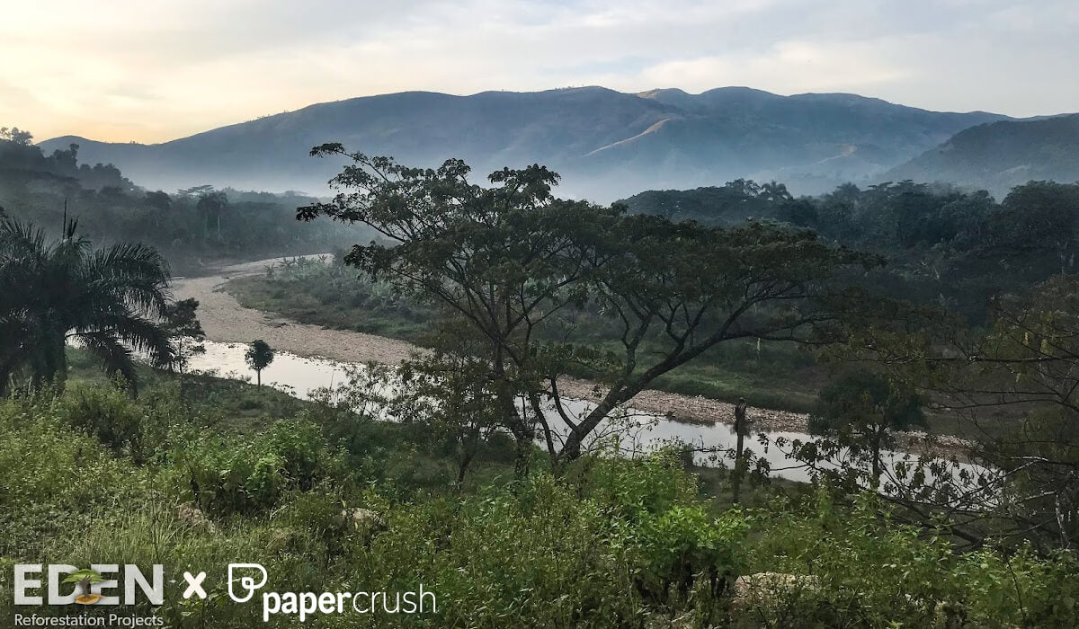 Eden Reforestation Projects x papercrush