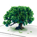 In Stiller Trauer Pop-Up Karte