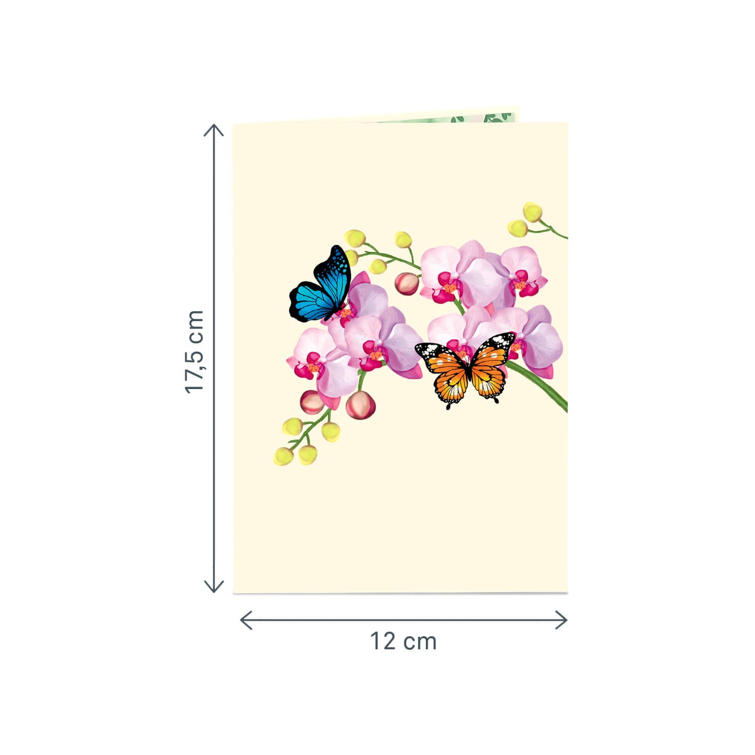 Orchidee mit Schmetterling Pop-Up Karte