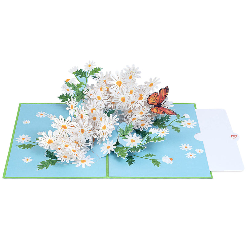 Gänseblümchen mit Schmetterling Pop-Up Karte