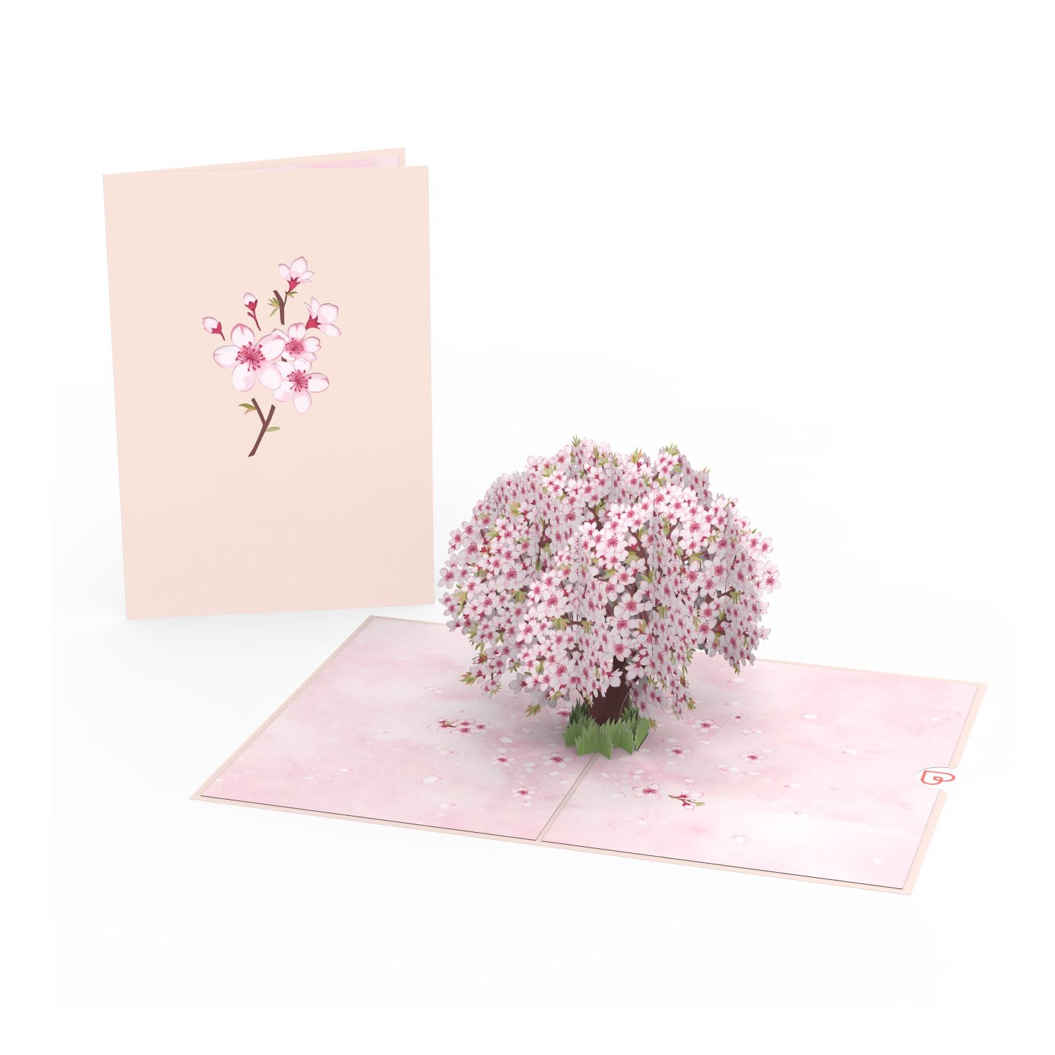 Carte pop-up fleurs de cerisier