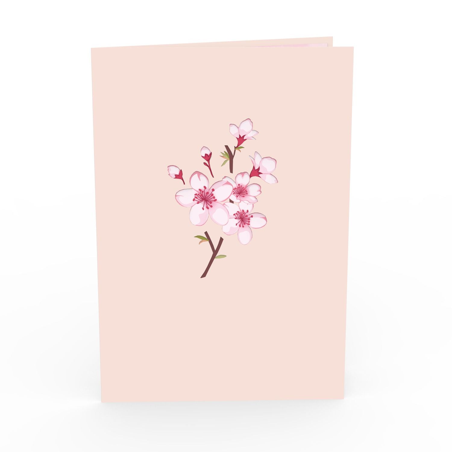 Carte pop-up fleurs de cerisier