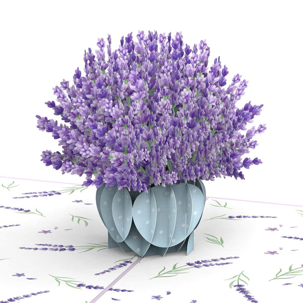 Lavendel Pop-Up Karte