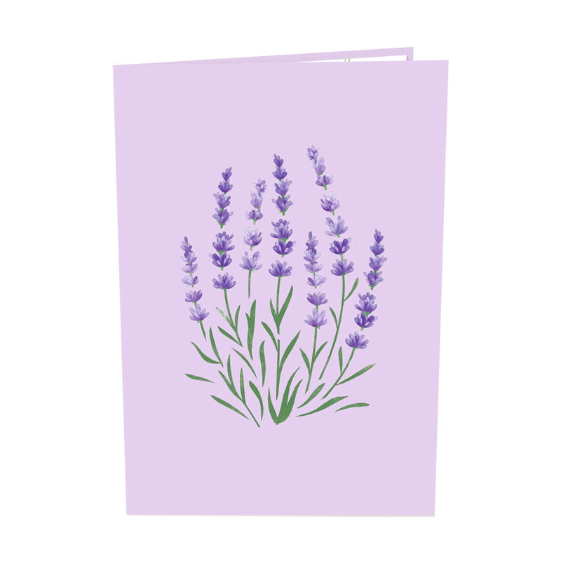 Lavendel Pop-Up Karte